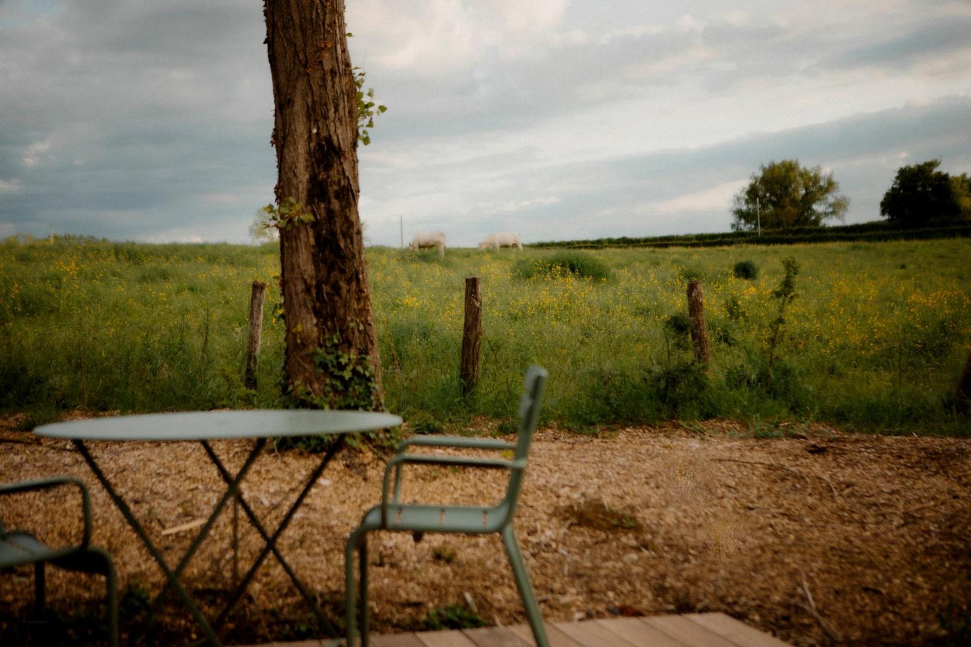 La Suite Nature By Lumipod X Tomette Singuliere Chateau  Buitenkant foto